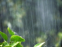 ゴールデンウィークは雨！