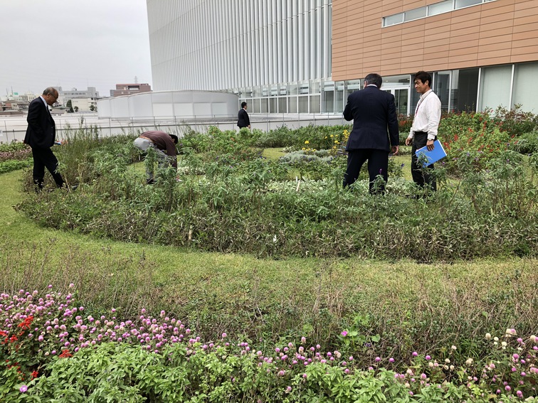 新庁舎建て替えの反省点。市長選での見直し事例も多く、市民の声を時間をかけて聞き取ることは重要。デザイン性より市民目線を。