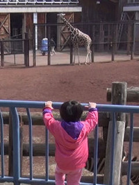 茶臼山動物園へ　'13　1回目