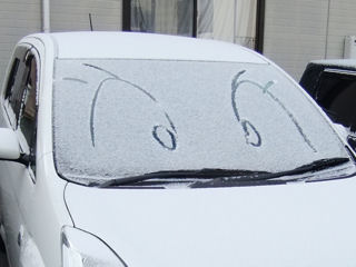 どう？