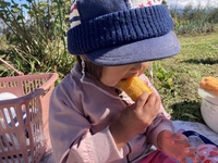 秋深まり焼き芋日和