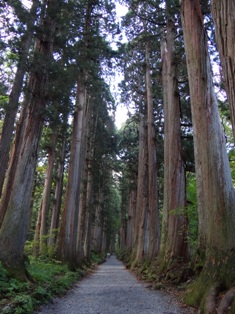 戸隠神社で厄落とし☆