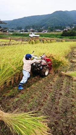 はぜかけ米の七草粥