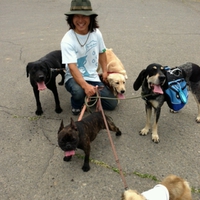 犬の無料しつけイベント　【第５回犬のお散歩コミュニティー】開催します。