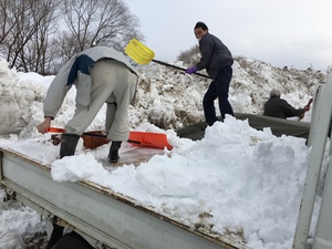 雪の置き場はいずこに・・・