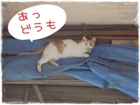 元気で良かった~(#^.^#)♪