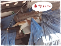 暑いですねぇ～