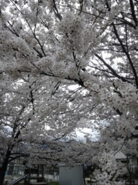 再開します