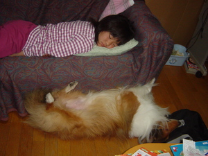 犬ショット