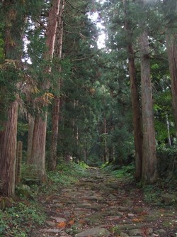 小菅山