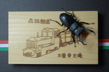 来訪者