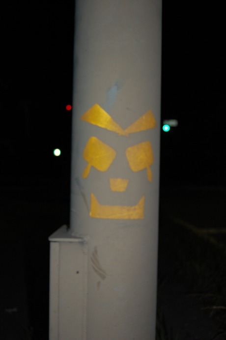 闇夜に輝く・・・