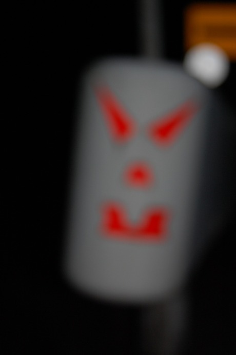 闇夜に輝く・・・