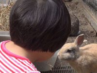 キリンを見に行きました