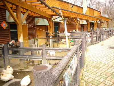 茶臼山動物園と恐竜公園☆