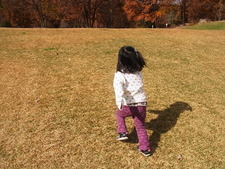 晩秋のあづみの公園