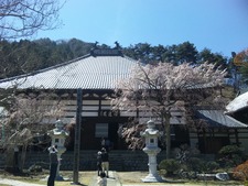 あんずの里・・・再び