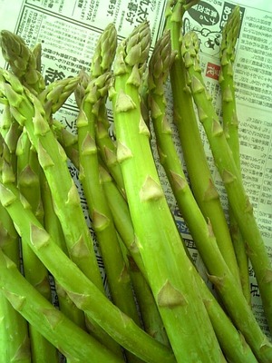 植物の恵み