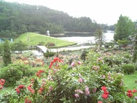 ２．東沢バラ公園（山形県村山市）
