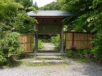 初夏の庭