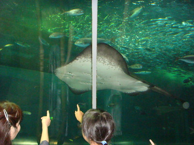 水族館！