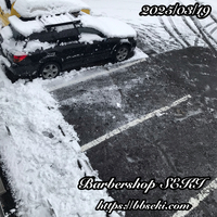 春の大雪…