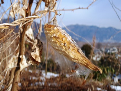 茶臼山