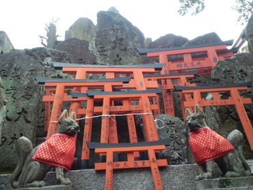 ★Hushimi Inari shrine★The top of Mt.Inari ⑦