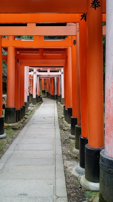 ★Kyoto ”Hushimi Inari grand shrine 伏見稲荷大社★②