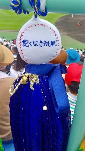 つぶやきんじゃーのつぶやき２:夏の高校野球 飯山高校の敗戦で思う事