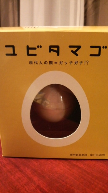 買っちゃいました