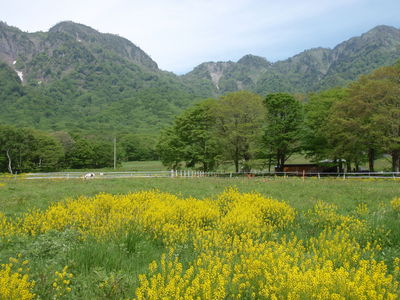 花の大洞沢