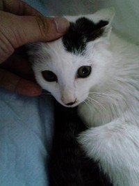 自由を求めて