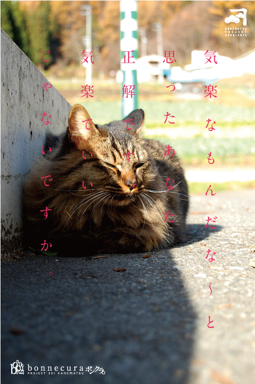 ニャ〜