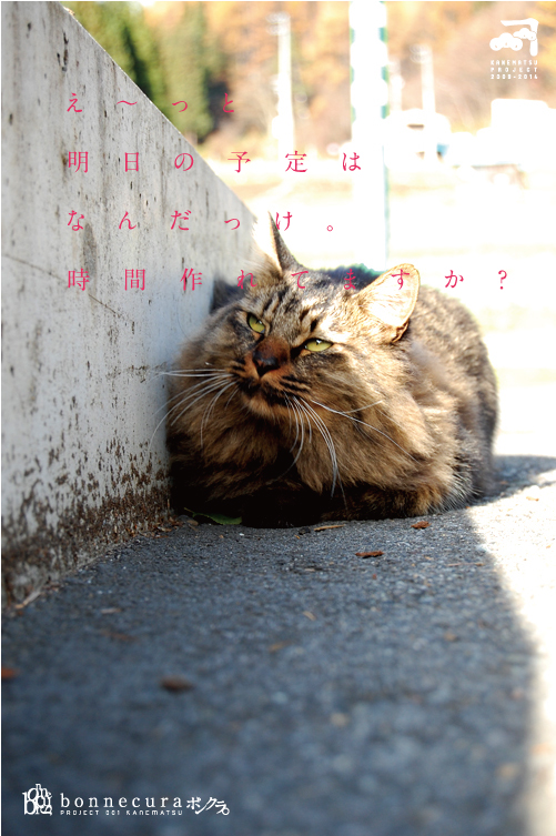 ニャ〜