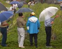 駒ヶ根市「ごま研究大会」開催(9/11)