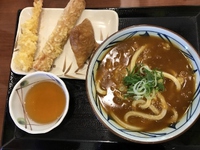 丸亀製麺と末っ子君