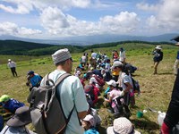 霧ヶ峰ニッコウキスゲ里親プロジェクト２年目の夏