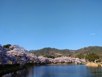 僕たちは遠い未来に何かを残せているんでしょうか？