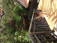 旅の中の子育て