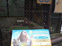 須坂市立動物園