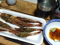 バロー『がざえび』