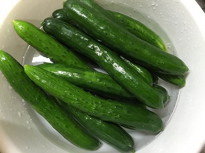 秋の自由研究　キュウリの佃煮。