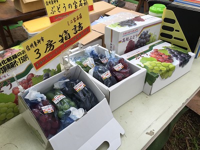 東御市　和田中園　と秋の自由研究。