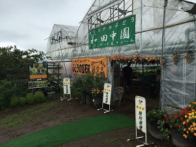 東御市　和田中園　と秋の自由研究。