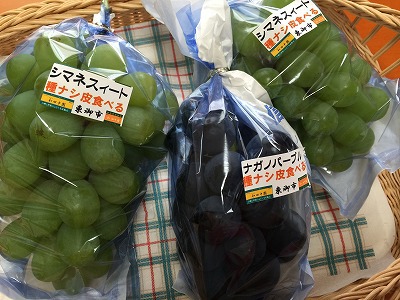 東御市　和田中園　と秋の自由研究。