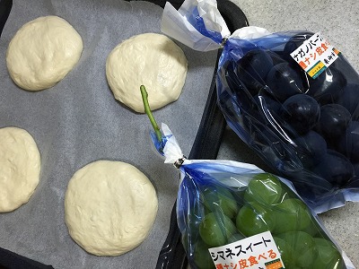 東御市　和田中園　と秋の自由研究。