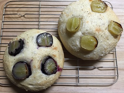 東御市　和田中園　と秋の自由研究。