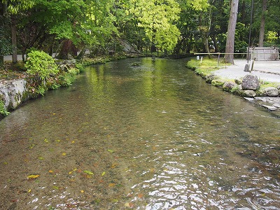 京都ちょたび　上賀茂神社と手づくり市。