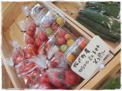 やさい直売所ホリホック・千曲市